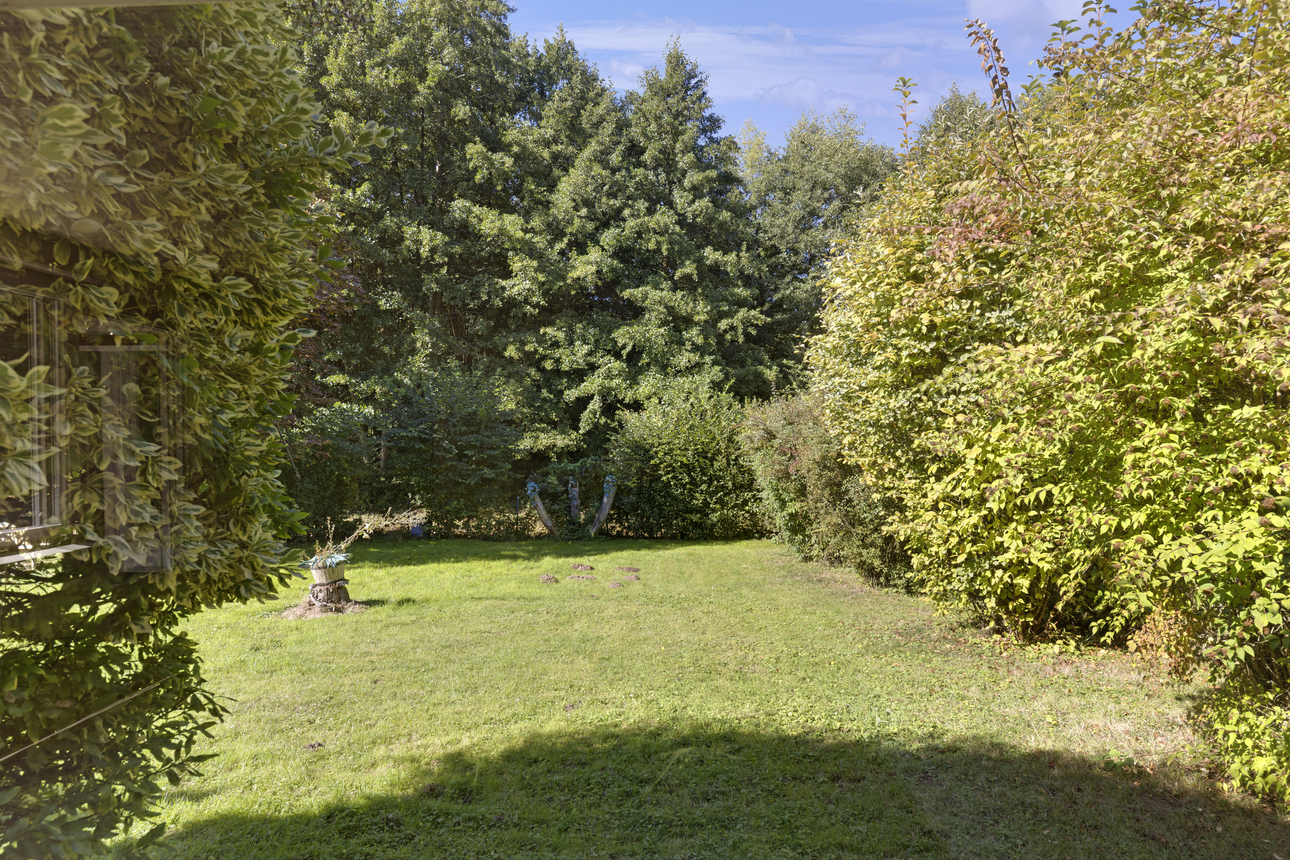 Ansicht